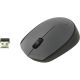 LOGITECH Wireless Mouse M170 - EMEA -  GREY - 910-004642