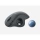 Logitech Ergo M575 Wireless Trackball Mouse, Graphite - 5099206092273