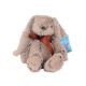 DIZI TOYS PLISANA IGRACKA 20CM ZEKA, 0+ - EP2740836