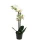 DEKOR DOM Cvet u saksiji ORCHID 50cm 51344-0 - White - NNT - EP2880450