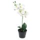 DEKOR DOM Cvet u saksiji ORCHID 35cm 51345-0 - White - NNT - EP2880453