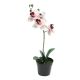 DEKOR DOM Cvet u saksiji ORCHID 35cm 51345-7 - Pink - NNT - EP2626334