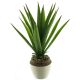 DEKOR DOM Cvet u saksiji ALOE 46cm 51929-1 - Green - NNT - EP2880456