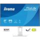 IIYAMA Monitor 27