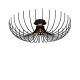 OPVIQ Luster Aspendos N-639, crna - EP3004639