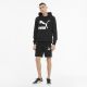 PUMA Duks sa kapuljacom classics logo hoodie tr M - 530084-01