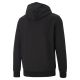 PUMA Duks sa kapuljacom classics logo hoodie tr M - 530084-01