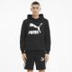 PUMA Duks sa kapuljacom classics logo hoodie tr M - 530084-01
