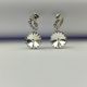 ALP CRYSTAL SWAROVSKI Ženske minđuše EPP2R10P CRY - MOMENT2192