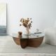 HANAH HOME Klub sto Lily Wood, braon - 552NOS1474