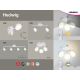 RABALUX Spot rasveta Hedwig LED 4X 4W - 5625