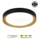 FORMA LED plafonjera 54W 3000K - 6400K LP-405-54R BK+SG - EP2932153