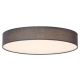 Rabalux Plafonjera Artemis LED 24W sivo (5681) - 5681