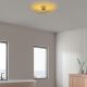 OPVIQ Luster Karsortel N-639-1, zlatna - EP3008852