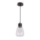 Moldo Viseća Lamp Providna 1x40W E27 - 15062-1-1-1