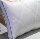 SDREAM Jastuk 45x65cm Aloe vera - 5966-1