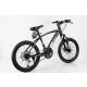 WINNER BIKE BIC.20