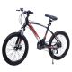 WINNER BIKE BIC.20