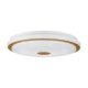 EGLO Plafonjera Lanciano 1 LED 24W podesiva boja svetlosti - 900598