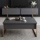 HANAH HOME Sto za dnevnu sobu Luxe Anthracite Gold 1 - 182045