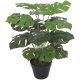 DEKOR DOM Cvet u saksiji - MONSTERA ZD-BYBG25-PGJ5 - 32cm - N55 - EP2880078