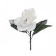 Novogodišnja dekoracija, cvet Magnolija, bela - 62884900