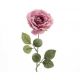 Novogodišnja dekoracija, cvet snežna Ruža - 62910700