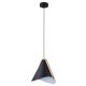 Rabalux Visilica Neva E27 1x MAX 60W mat crno (6650) - 6650-1