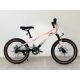 WINNER BIKE BIC.20