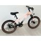 WINNER BIKE BIC.20