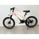 WINNER BIKE BIC.20
