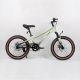 WINNER BIKE BIC.20