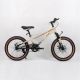 WINNER BIKE BIC.20
