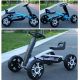 WINNER BIKE ROMOBIL GO CART WB-BLUE - TRO0020