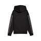 PUMA Duks sa kapuljačom ess graphic animal comfort hoodie fl W - 688084-01