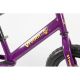 WINNER BIKE BIC.12