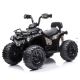 WINNER BIKE BIC.QUAD M JS009 BLACK - BCK0329