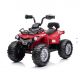 WINNER BIKE BIC.QUAD M JS009 RED - BCK0331