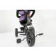WINNER BIKE BIC.HH-6388 TRIKE PURPLE - BCK0325