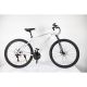 WINNER BIKE BIC. 29