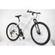 WINNER BIKE BIC. 29