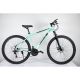 WINNER BIKE BIC. 29
