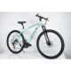 WINNER BIKE BIC. 29