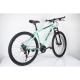 WINNER BIKE BIC. 29