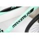 WINNER BIKE BIC. 29