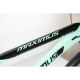 WINNER BIKE BIC. 29
