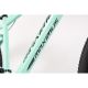 WINNER BIKE BIC. 29