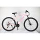 WINNER BIKE BIC. 29
