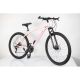 WINNER BIKE BIC. 29