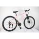 WINNER BIKE BIC. 29